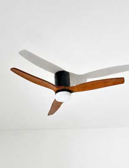 ventilateur-de-plafind-MSE-electricité